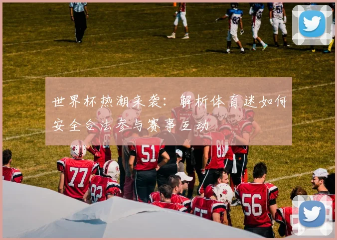 世界杯热潮来袭：解析体育迷如何安全合法参与赛事互动