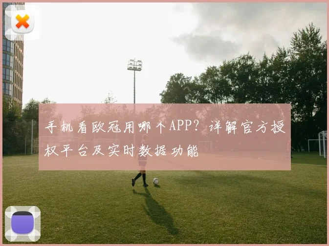 手机看欧冠用哪个APP？详解官方授权平台及实时数据功能