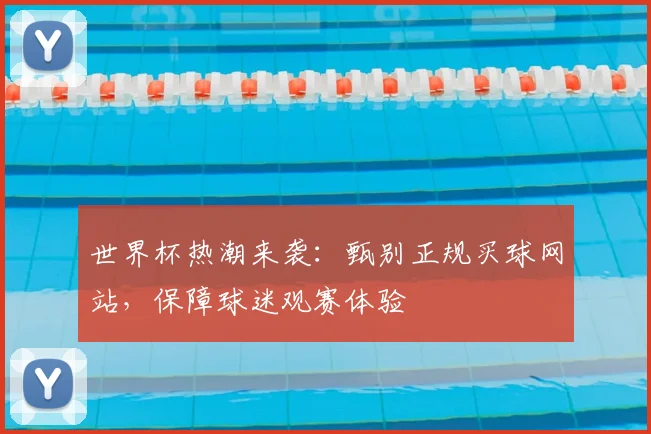 世界杯热潮来袭：甄别正规买球网站，保障球迷观赛体验
