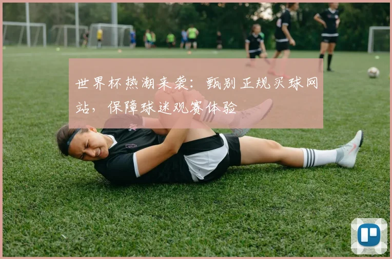 世界杯热潮来袭：甄别正规买球网站，保障球迷观赛体验