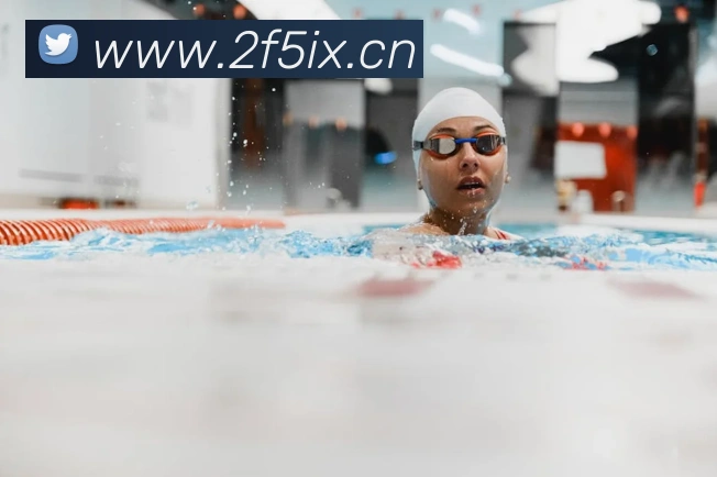 多媒体互动体验